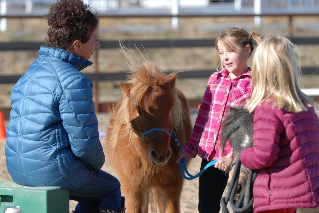 Equine Assisted Psychotherapy What To Expect In A Therapy Session With 